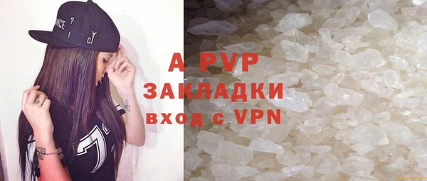 хмурый Абаза