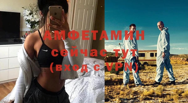 хмурый Абаза