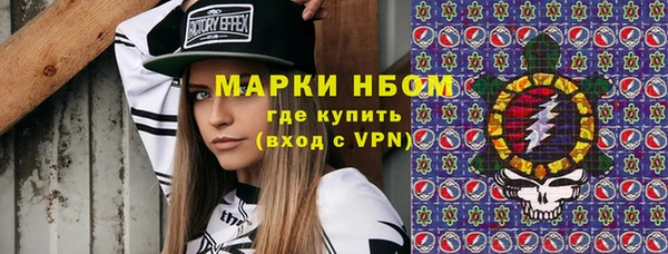 хмурый Абаза