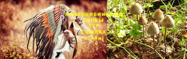 2c-b Абинск