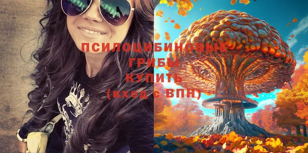 МДПВ Алексеевка