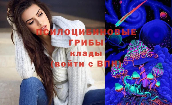 2c-b Абинск