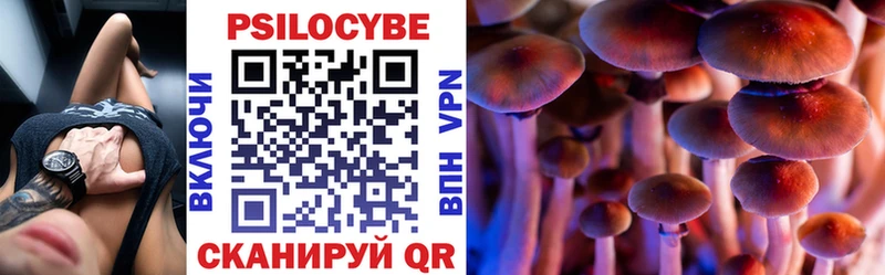 Псилоцибиновые грибы GOLDEN TEACHER  Королёв 